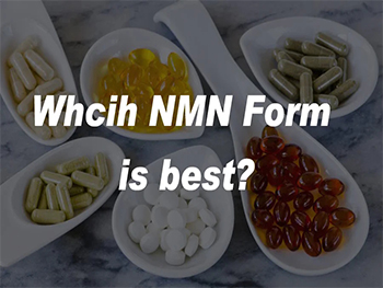 Is NMN Better In Powder Form?